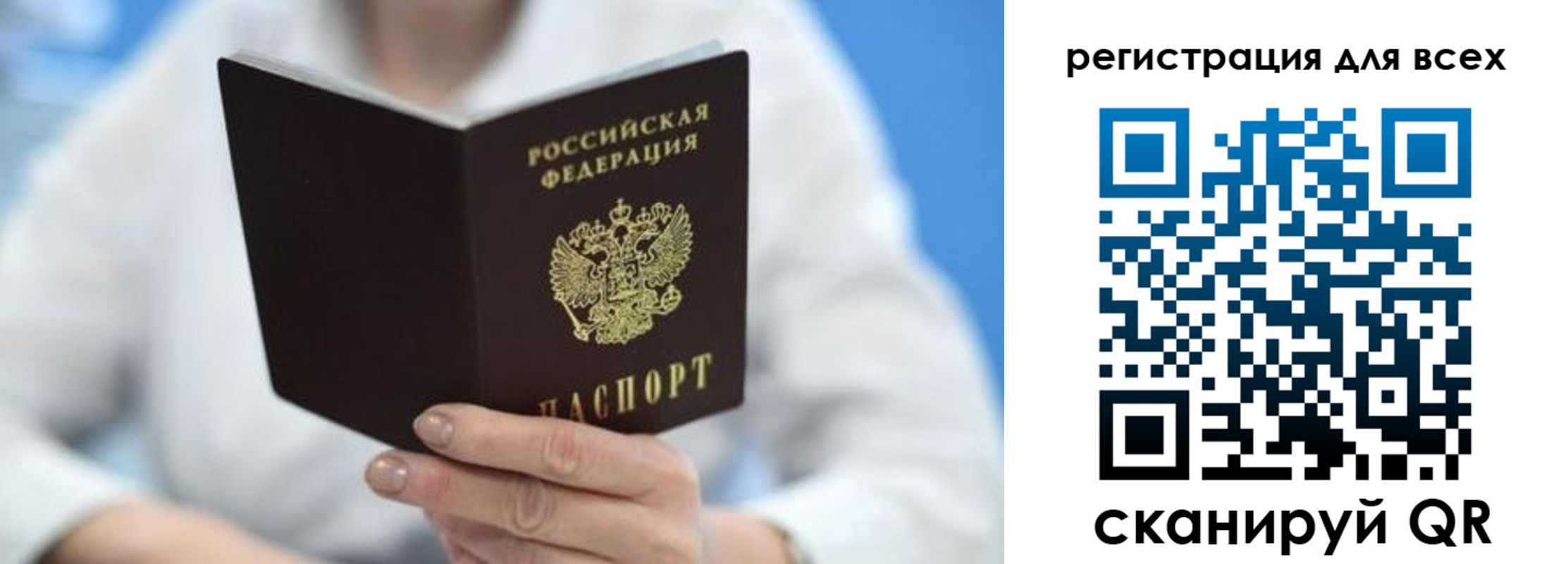 прописка гарантия в Владимирской области